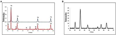 Synergistic antibacterial activity of compact silver/magnetite core-shell nanoparticles core shell against Gram-negative foodborne pathogens